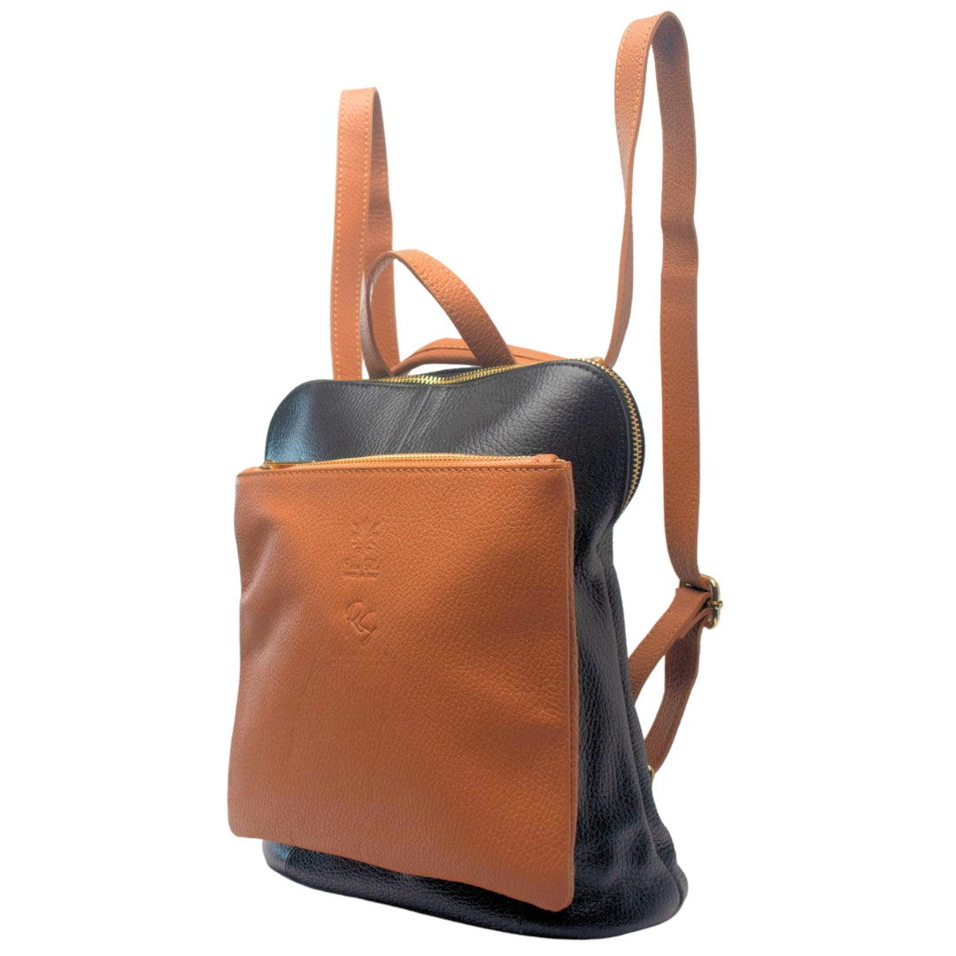 #color_black and tan