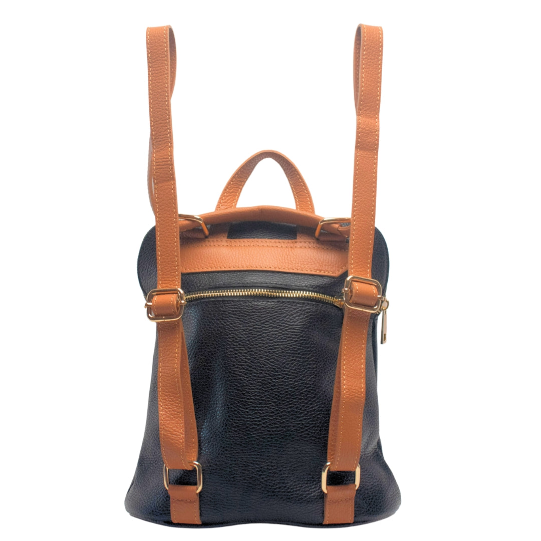 #color_black and tan