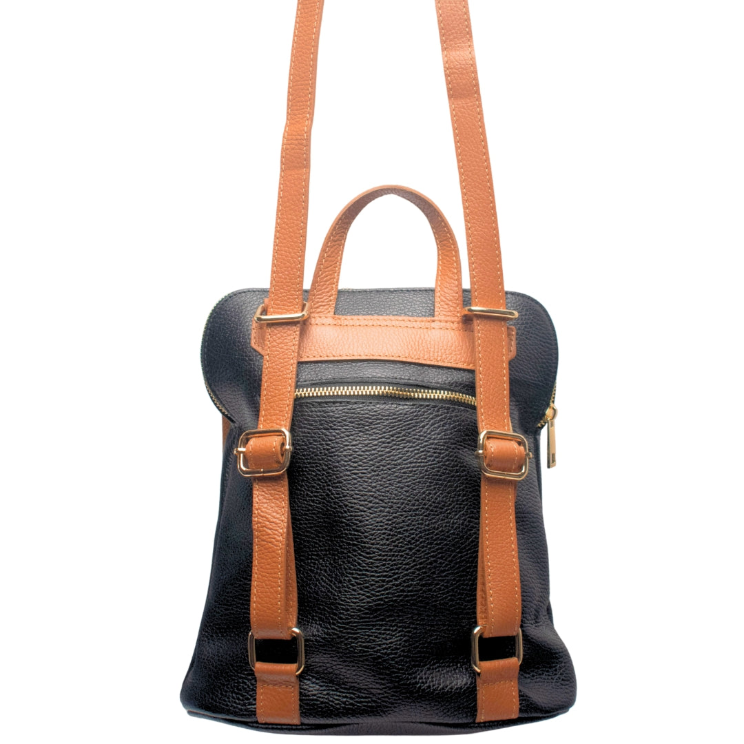 #color_black and tan